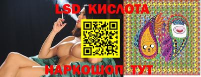 дмт Камышлов
