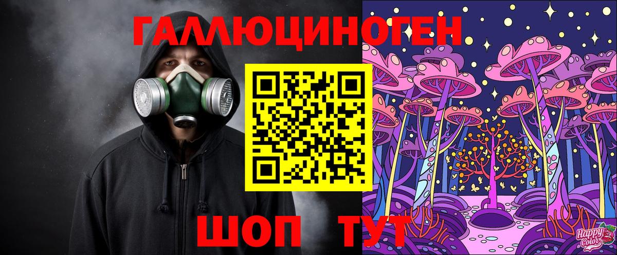 Псилоцибиновые грибы Psilocybe Лесосибирск